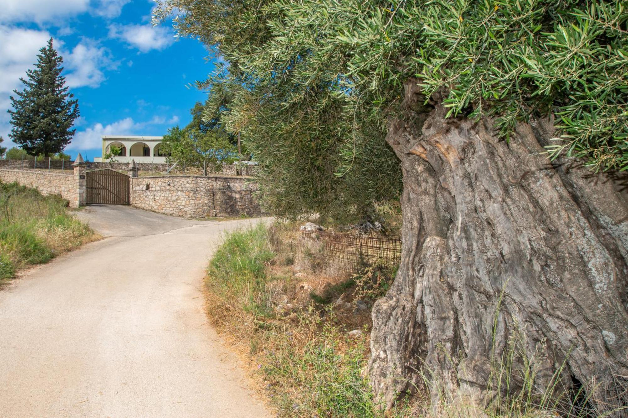 Leandros Private House Near Shipwreck Beach By "Elite" Maries  Exteriör bild